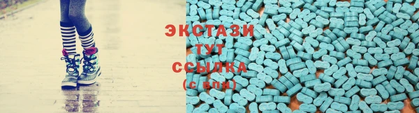 гашик Гусь-Хрустальный
