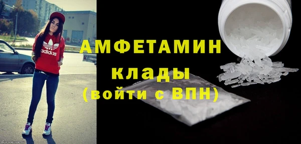 гашик Гусь-Хрустальный