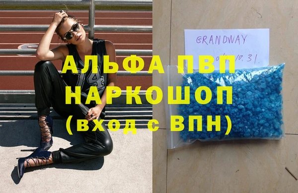 гашик Гусь-Хрустальный