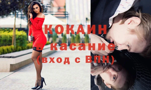 гашик Гусь-Хрустальный