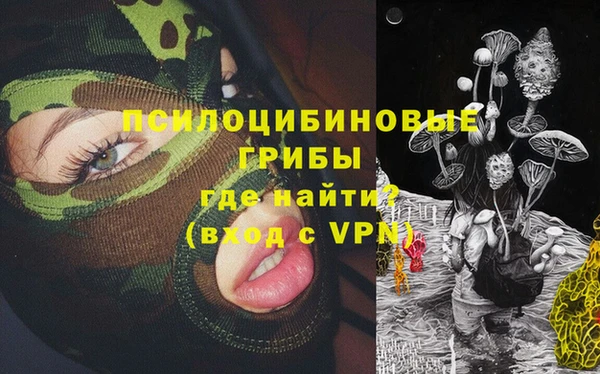 синтетический гашиш Гусиноозёрск