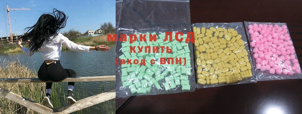 гашик Гусь-Хрустальный